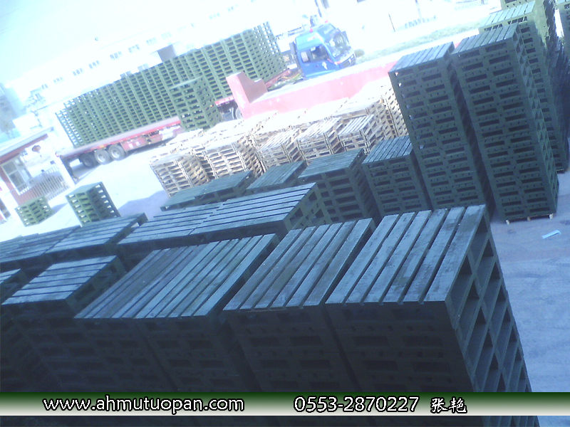 ��̎������ľ�бP��؛�P