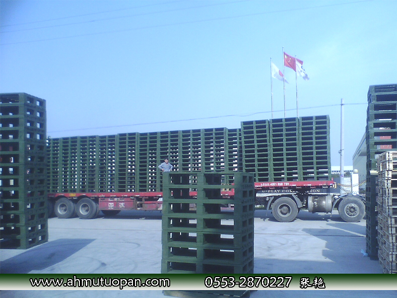 �����M����ľ�бP