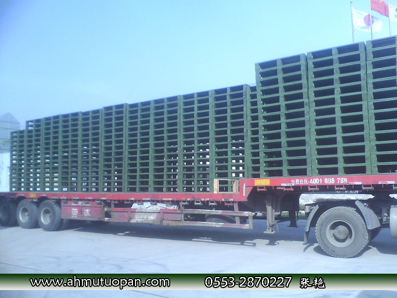 ��ù���������M��ľ�бP