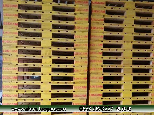 �㽭ľ����