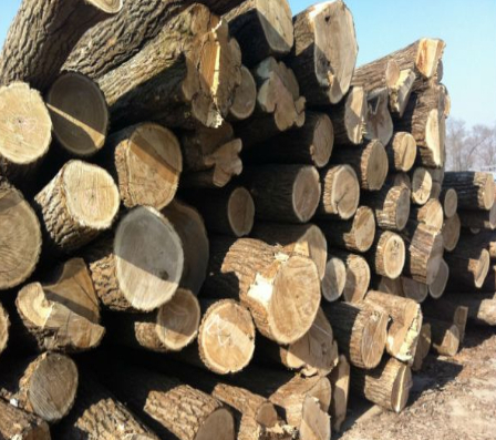 Ӳ�sľ�бP��ԭ����