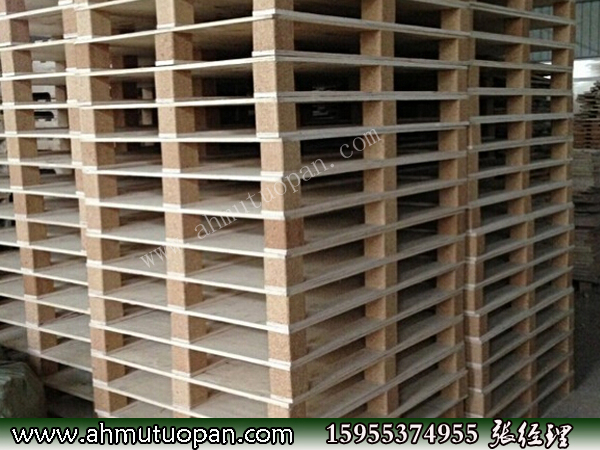 �z�ϰ��бP ������z