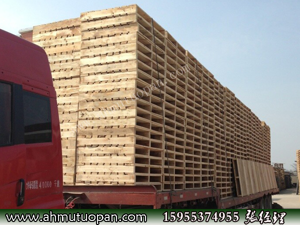 ľ�бP����l(f��)؛��...