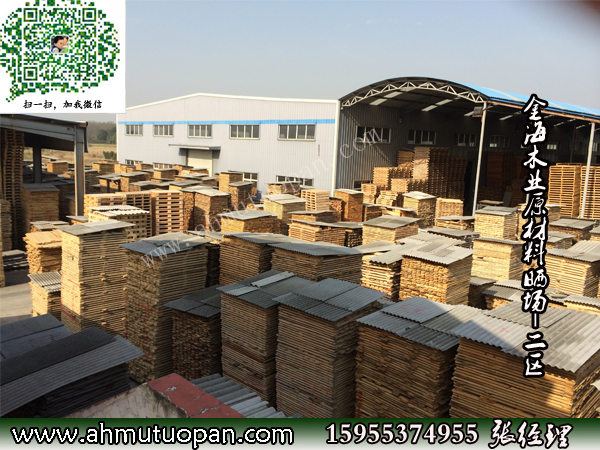 ��ľ�I(y��)ԭ���ϕ��--���^(q��)