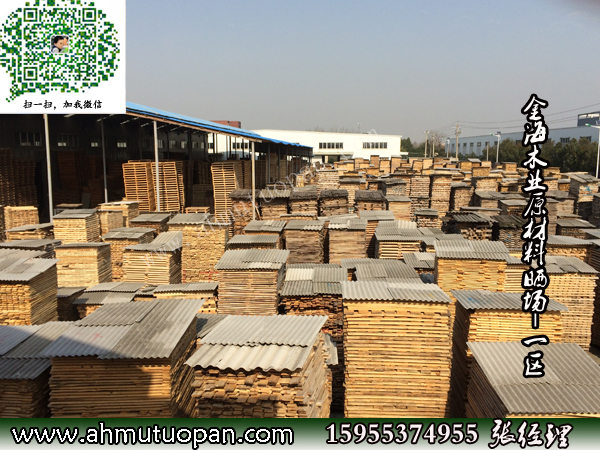 ��ľ�I(y��)ԭ���ϕ��-һ�^(q��)