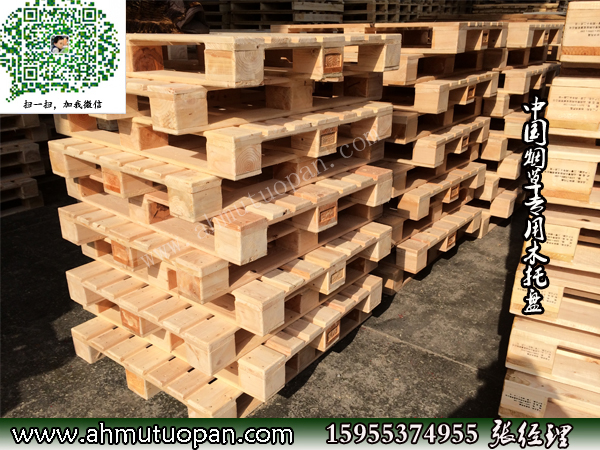 �߼����w��(k��)�����бP