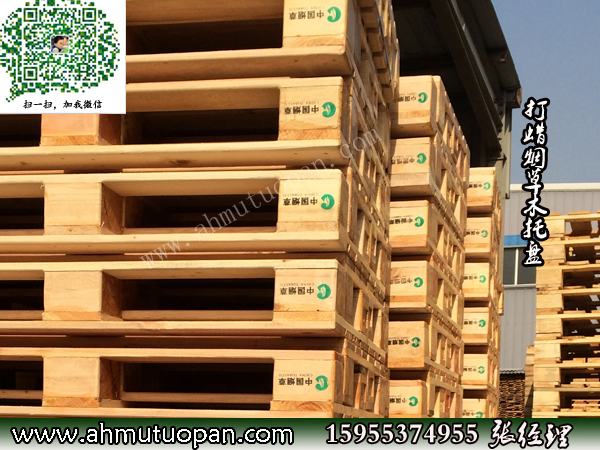 �Ї����݌����Fɼľ�бP