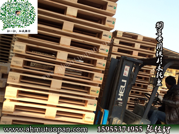 ���w������ľ�бP���ƹ�����