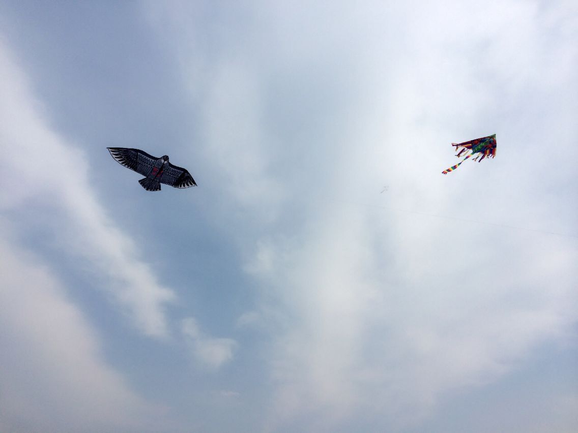 ���L(f��ng)�~