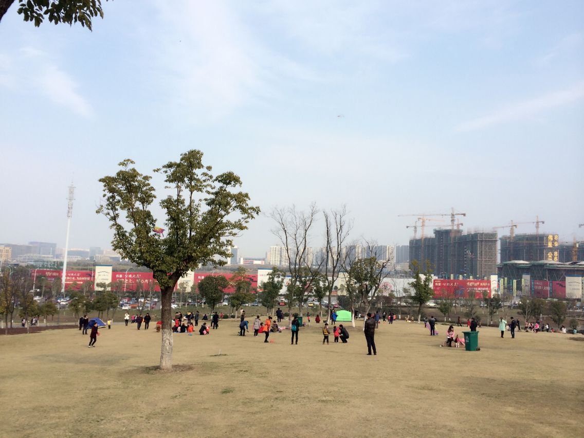 ľ�бP����