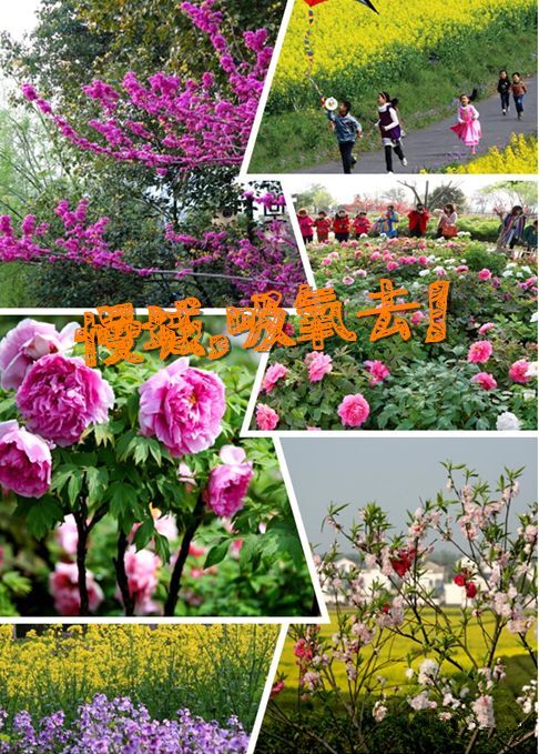 ʏ������֮��